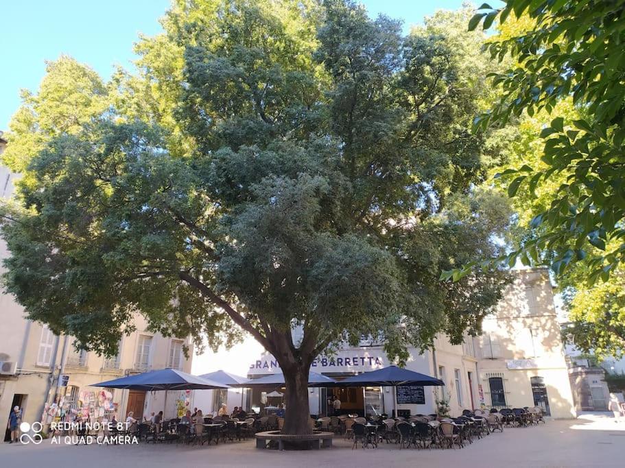 Bel Appartement Dans Centre Historique Avignon Bagian luar foto
